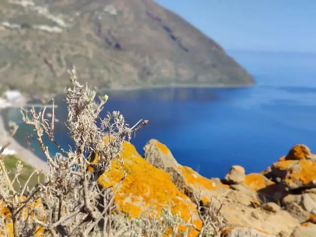 Vegetazione e roccia affacciate sul mare